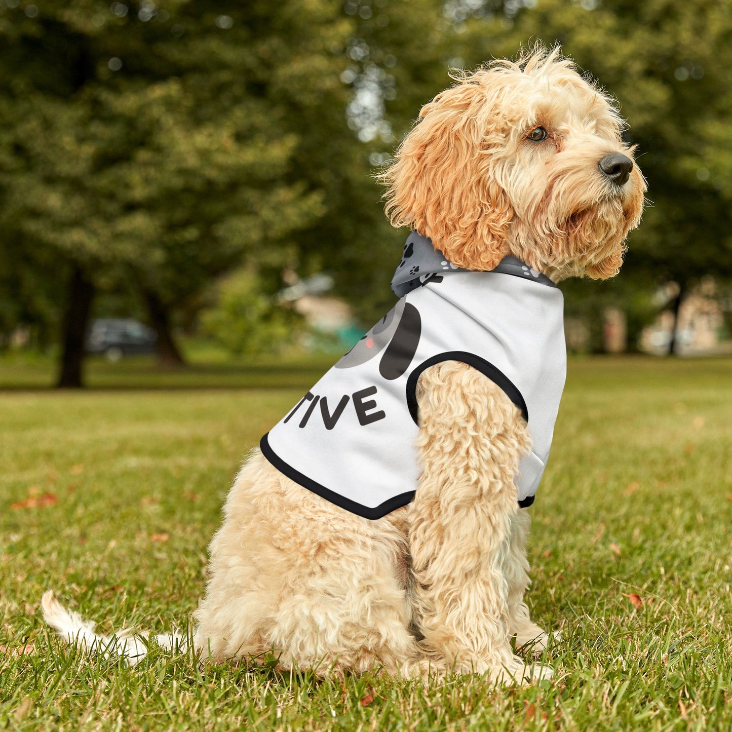 Pawsitive Dog Hoodie