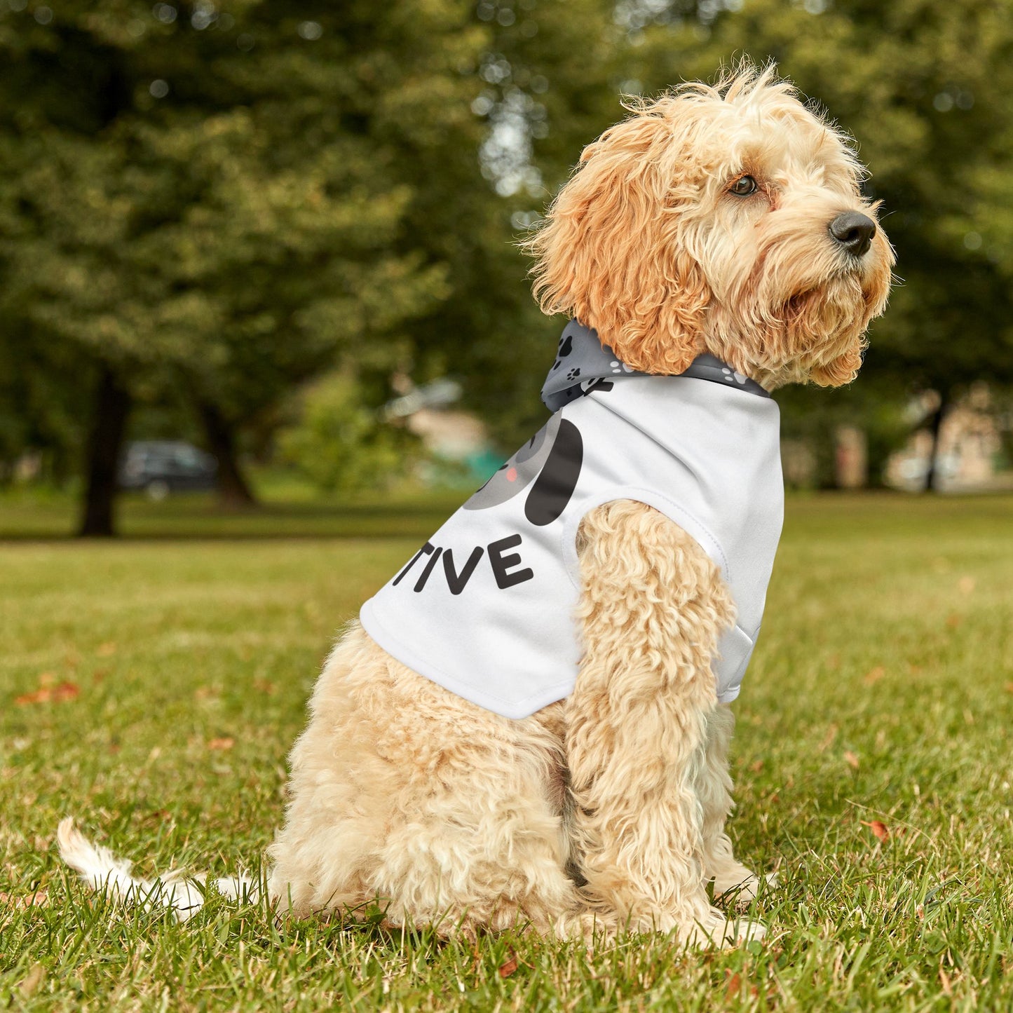 Pawsitive Dog Hoodie
