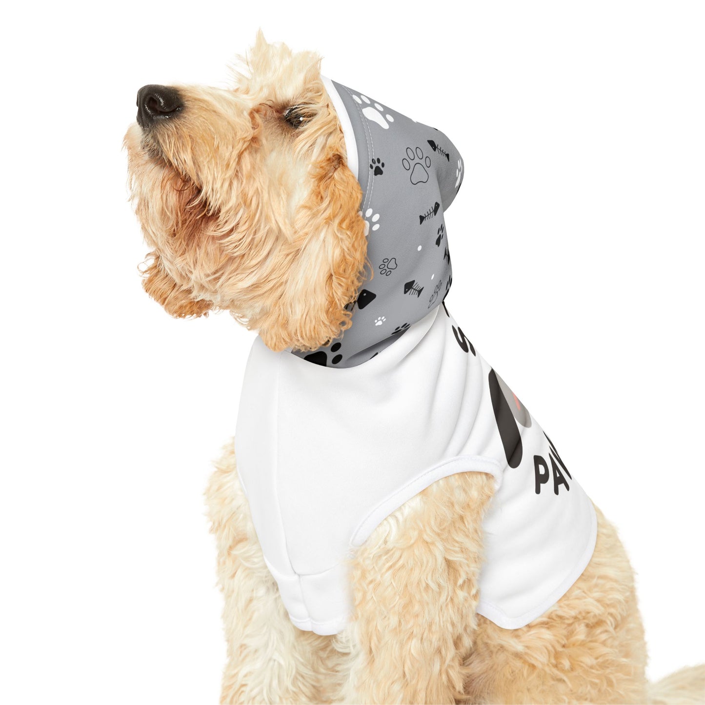 Pawsitive Dog Hoodie